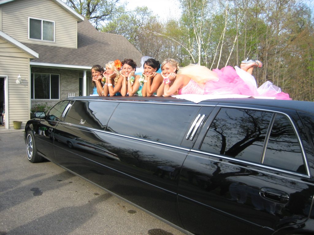 party van limousine service